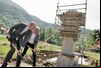 Comienza la construcción del telecabina de Benasque a la estación de esquí de Cerler