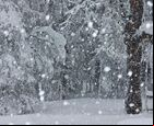 Pronostican importantes nevadas ¿Cuánta nieve caerá? 