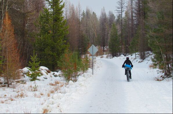 Pedaleando por el bosque en invierno